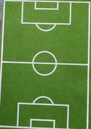 58463   Fußballplatz, Matte Filz   2007